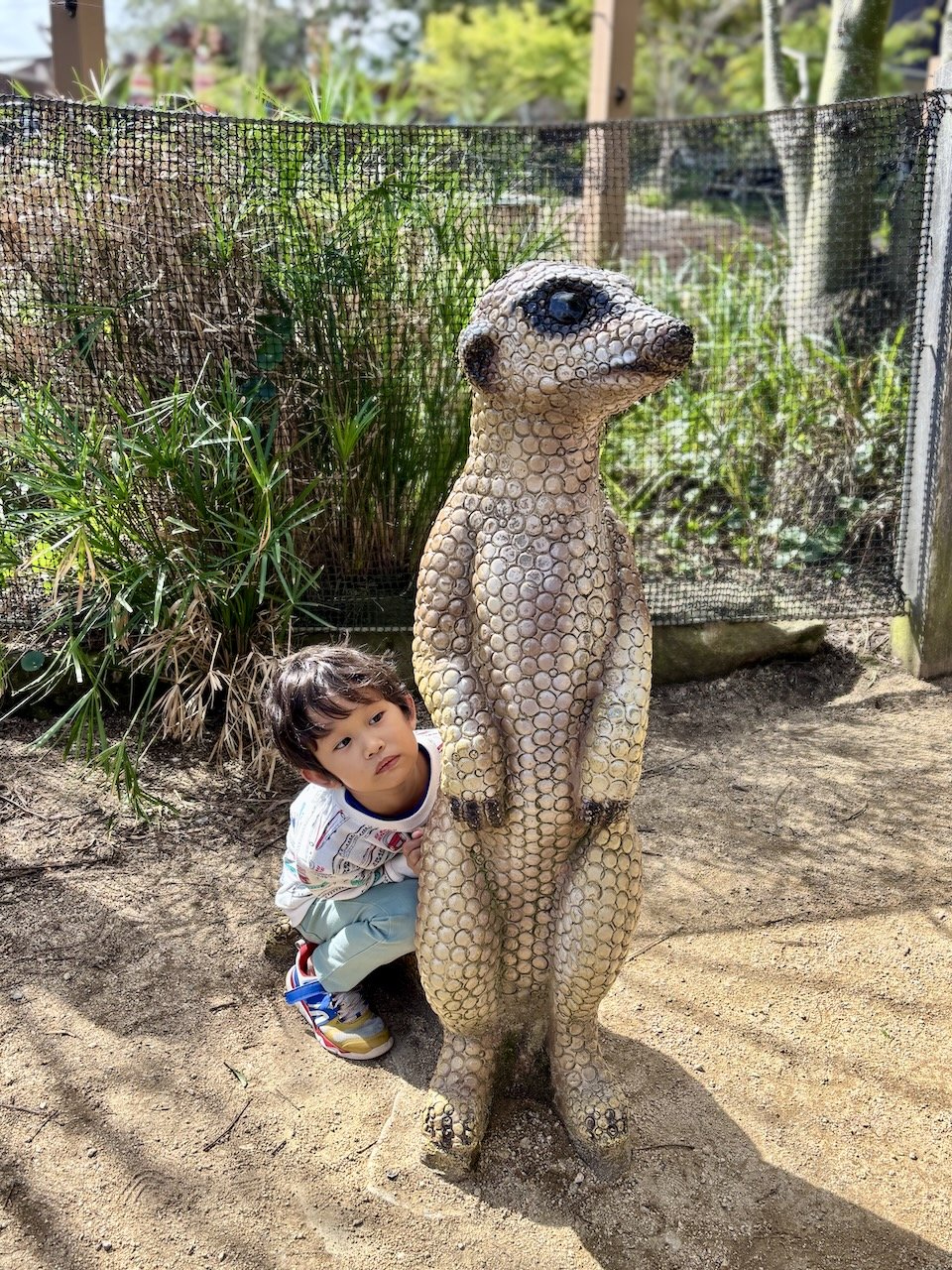 And Arlo's perennial fave, the meerkat.