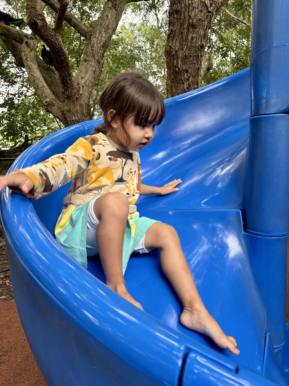 There was a nice playground in the kids' zoo area.