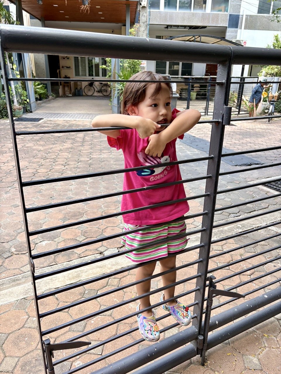 Getting confident climbing the gate.