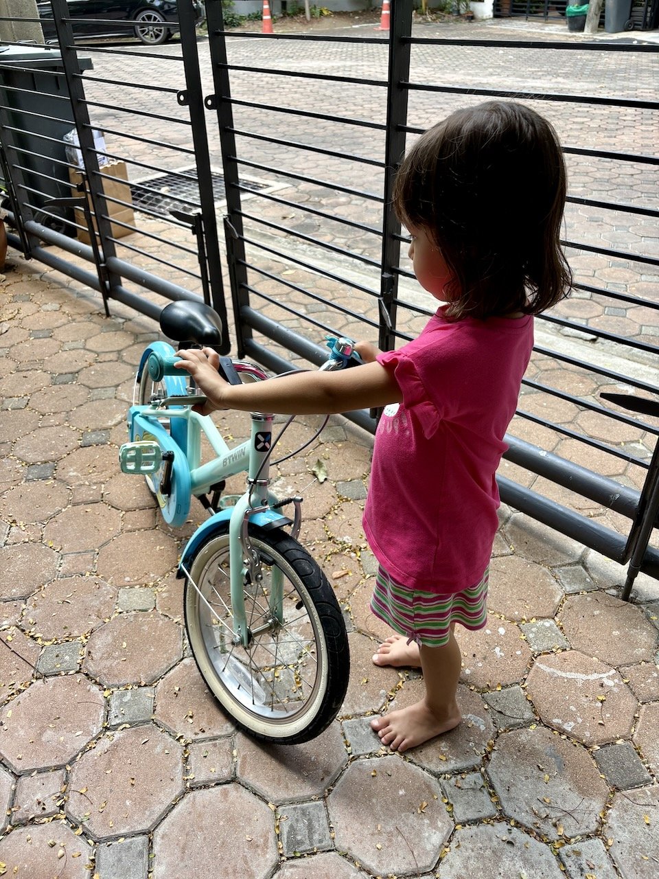 And Lucy's got a new bike! She still needs to grow another 2-3 cm in order to use it safely, but I'm sure that'll be soon enough.