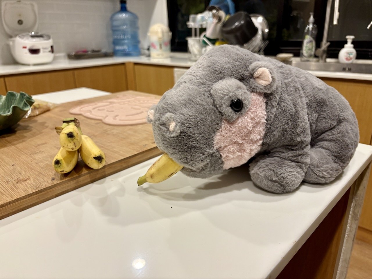 Spotted on the counter late at night.