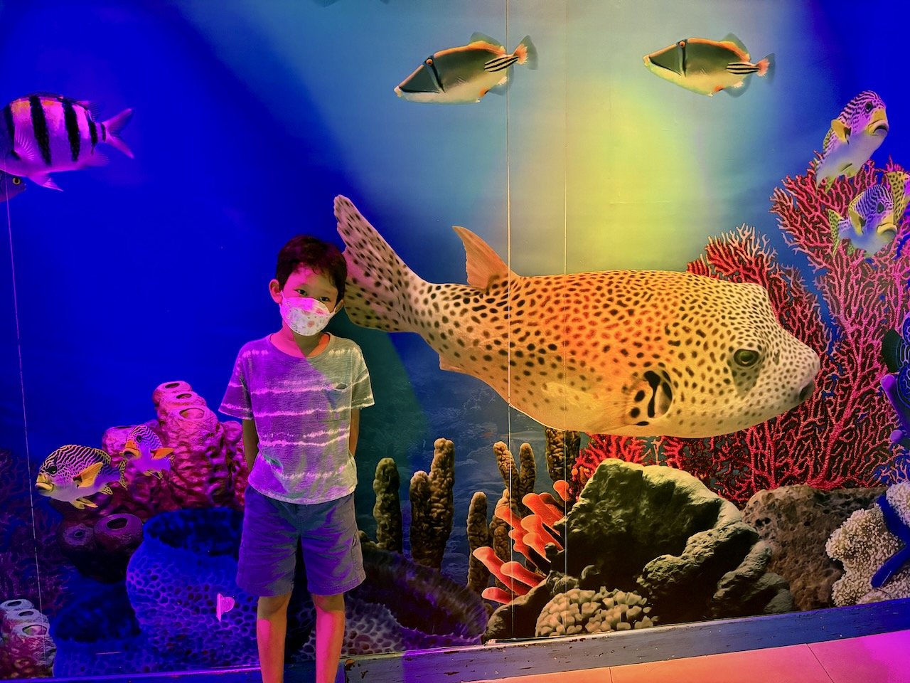 Door busters at the aquarium!