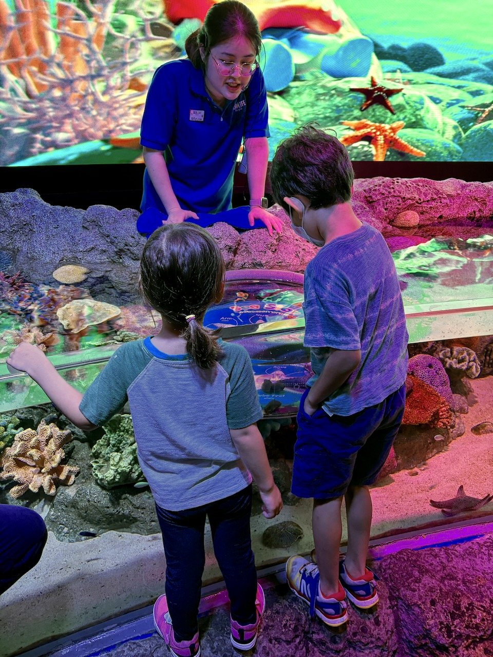 Touching a starfish.