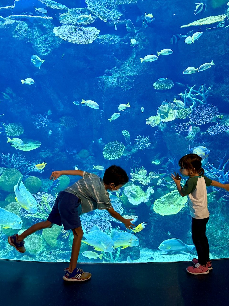 They enjoyed the giant tank...