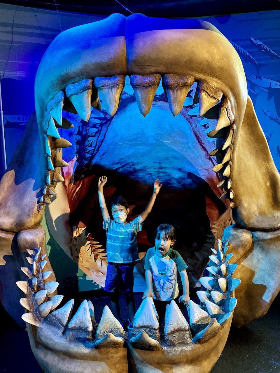 ... but like last time, the shark tunnel is the star attraction.
