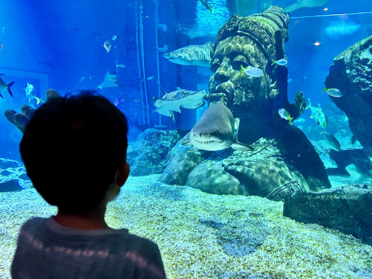 This guy's got his eye on Arlo.
