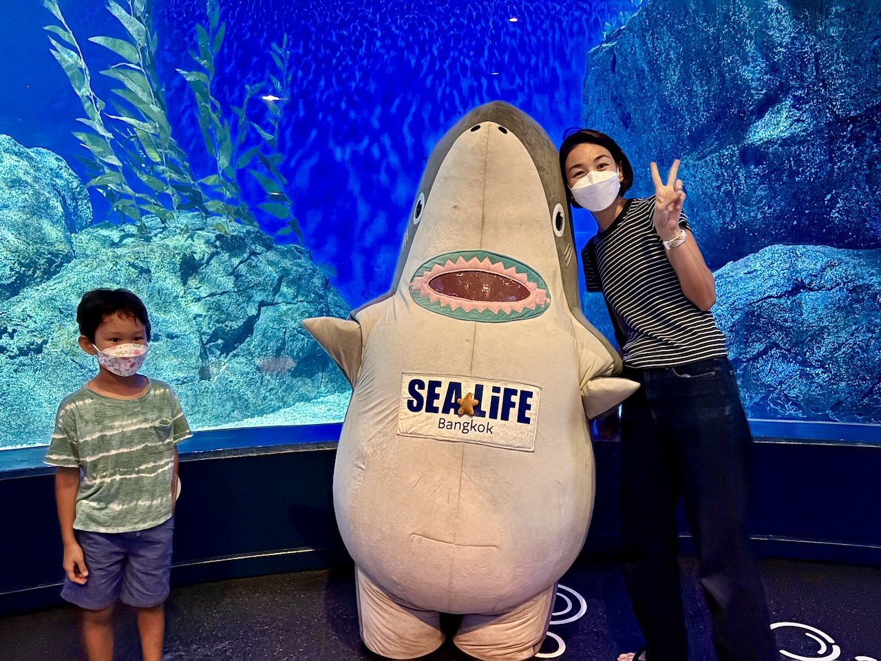 This particular shark is much cuter.