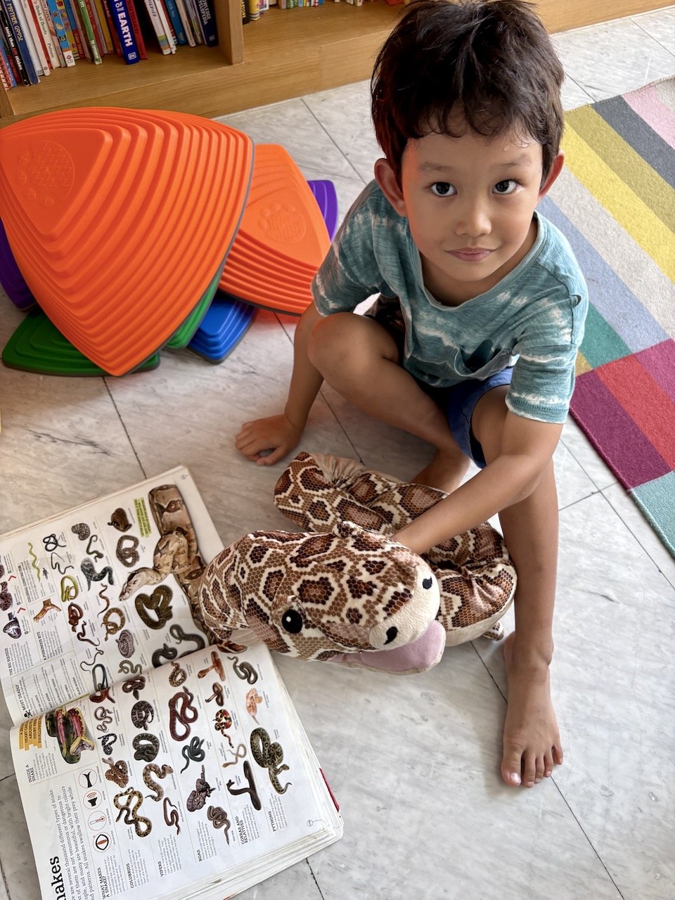 Finding and identifying Boa in Picturepedia.