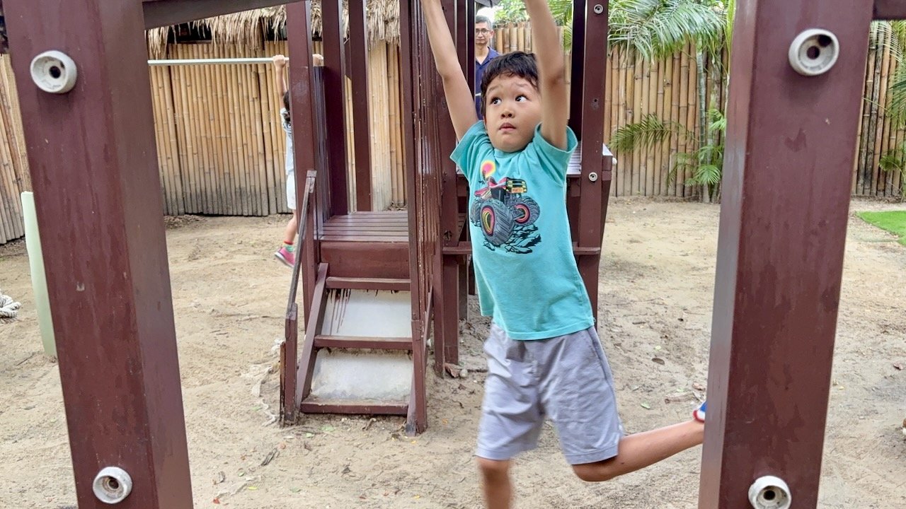 Arlo's found a renewed interest in the monkey bars.