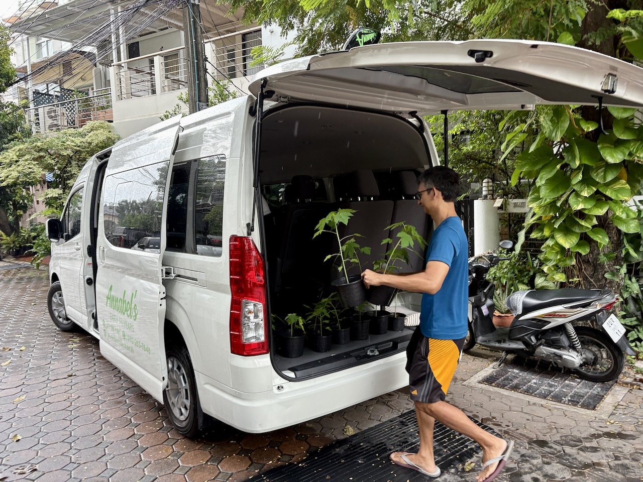 And effort #2 for the day: loading up the school van with papayas!