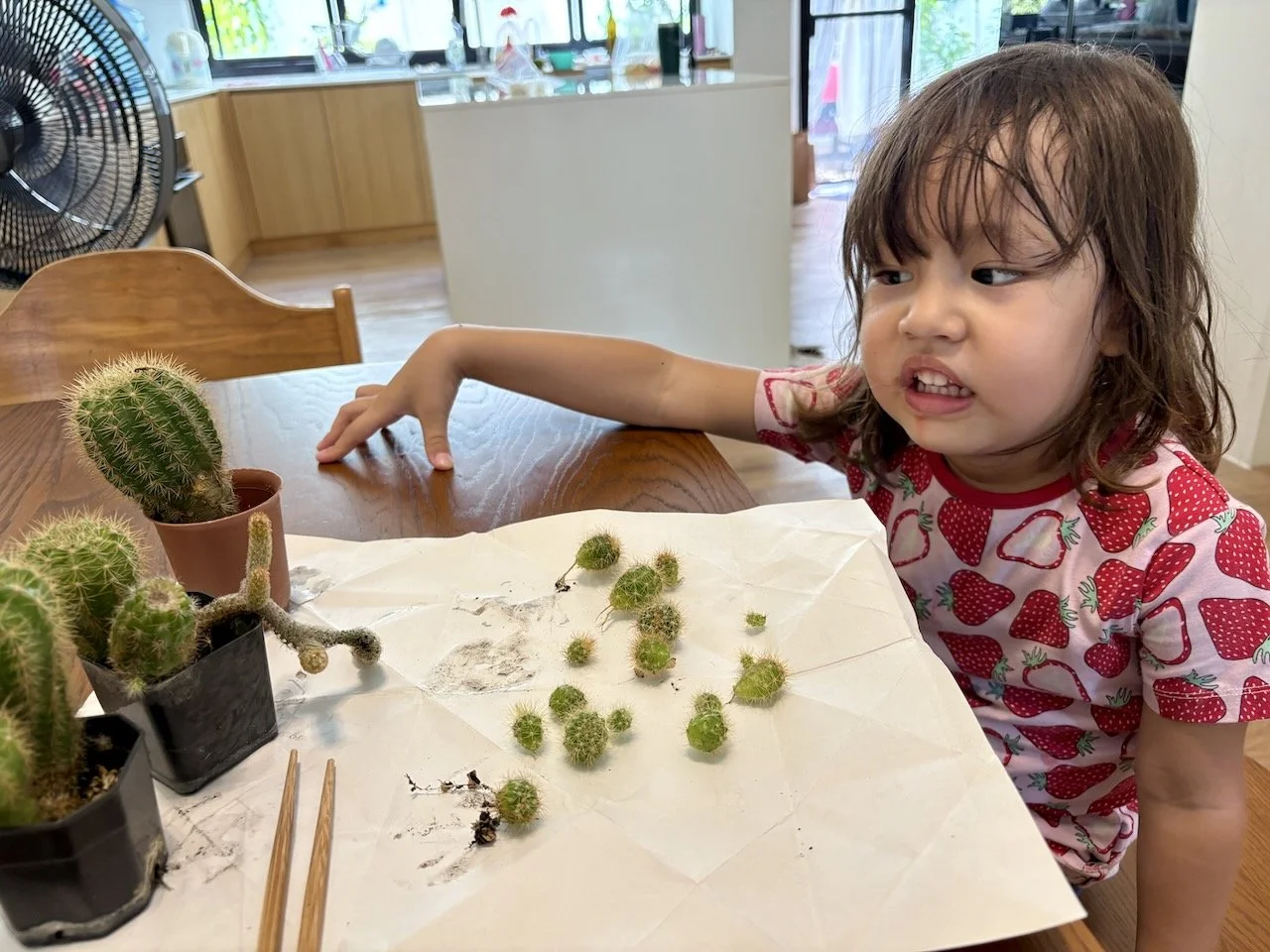 Meanwhile, Mum & Lucy tackle a long overdue project: replanting the babies.