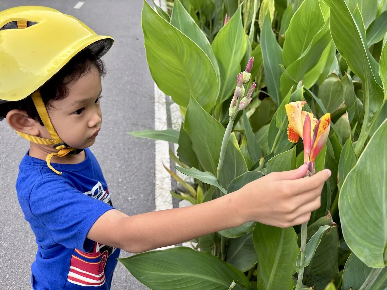 Stopping to admire the flowers...