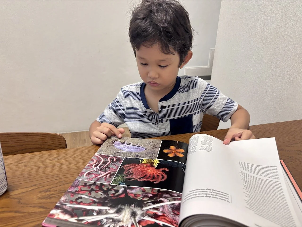 This ought to keep him busy for hours (years).
