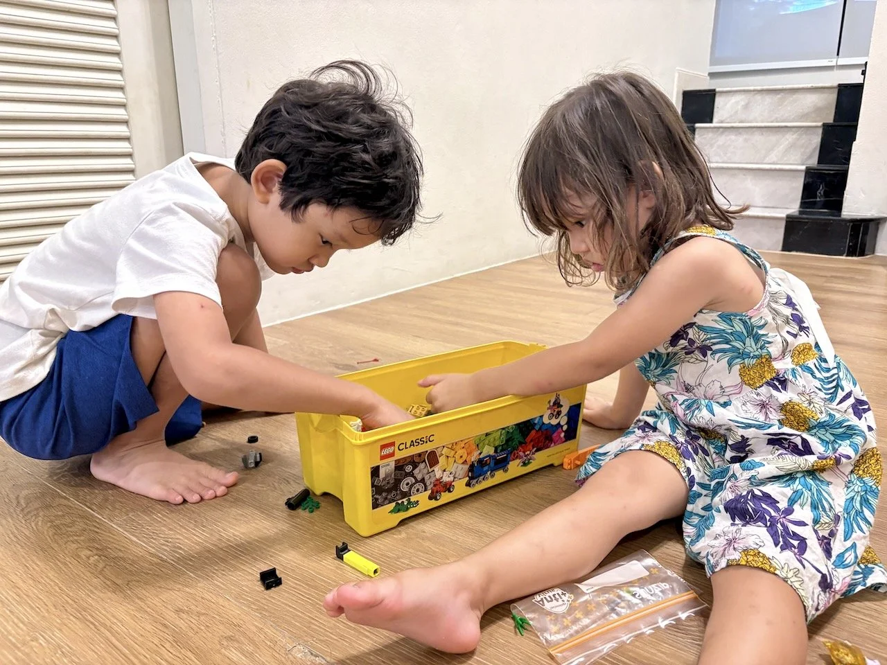 A new set of legos. Lucky Lucy & Arlo!