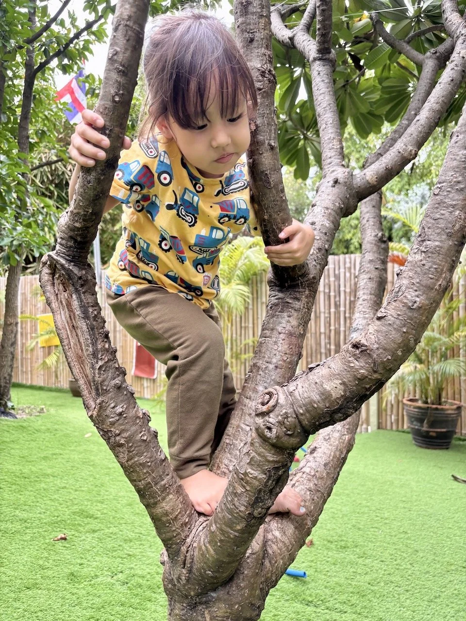 It's only taken 10 months to realize she can climb this tree. (That was a staple at Blu Bam Boo!)