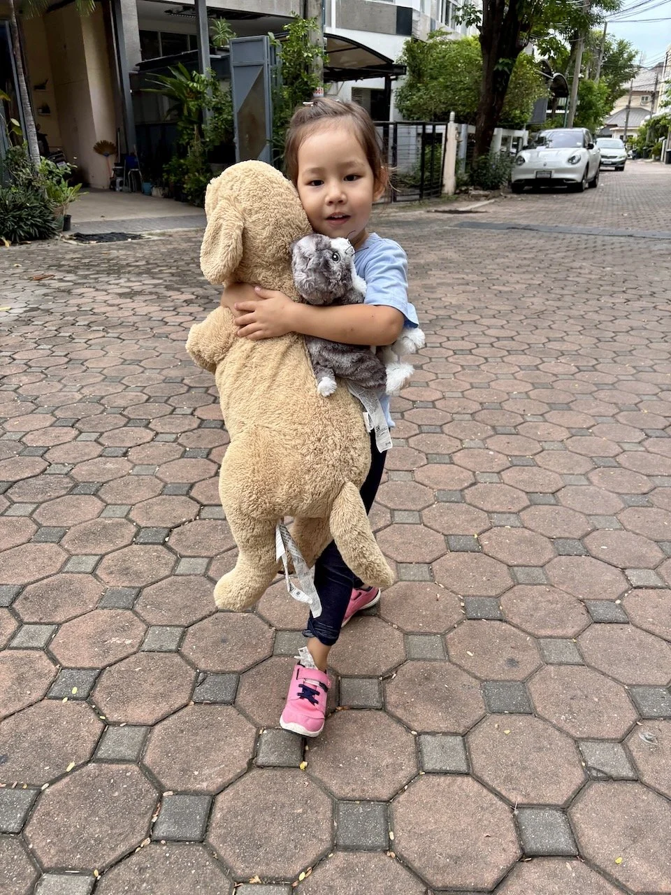 It's Friday, and Lucy is bring her emotional support menagerie to school.