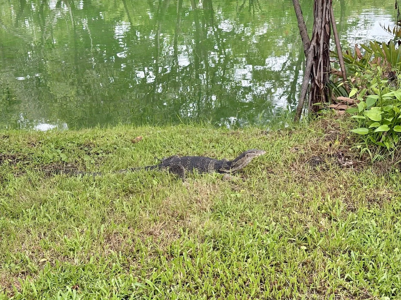 Now that we're here, and we have the whole day ahead of us, let's enjoy the wildlife.