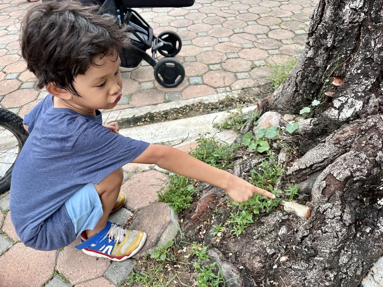 Pointing out a mushroom.