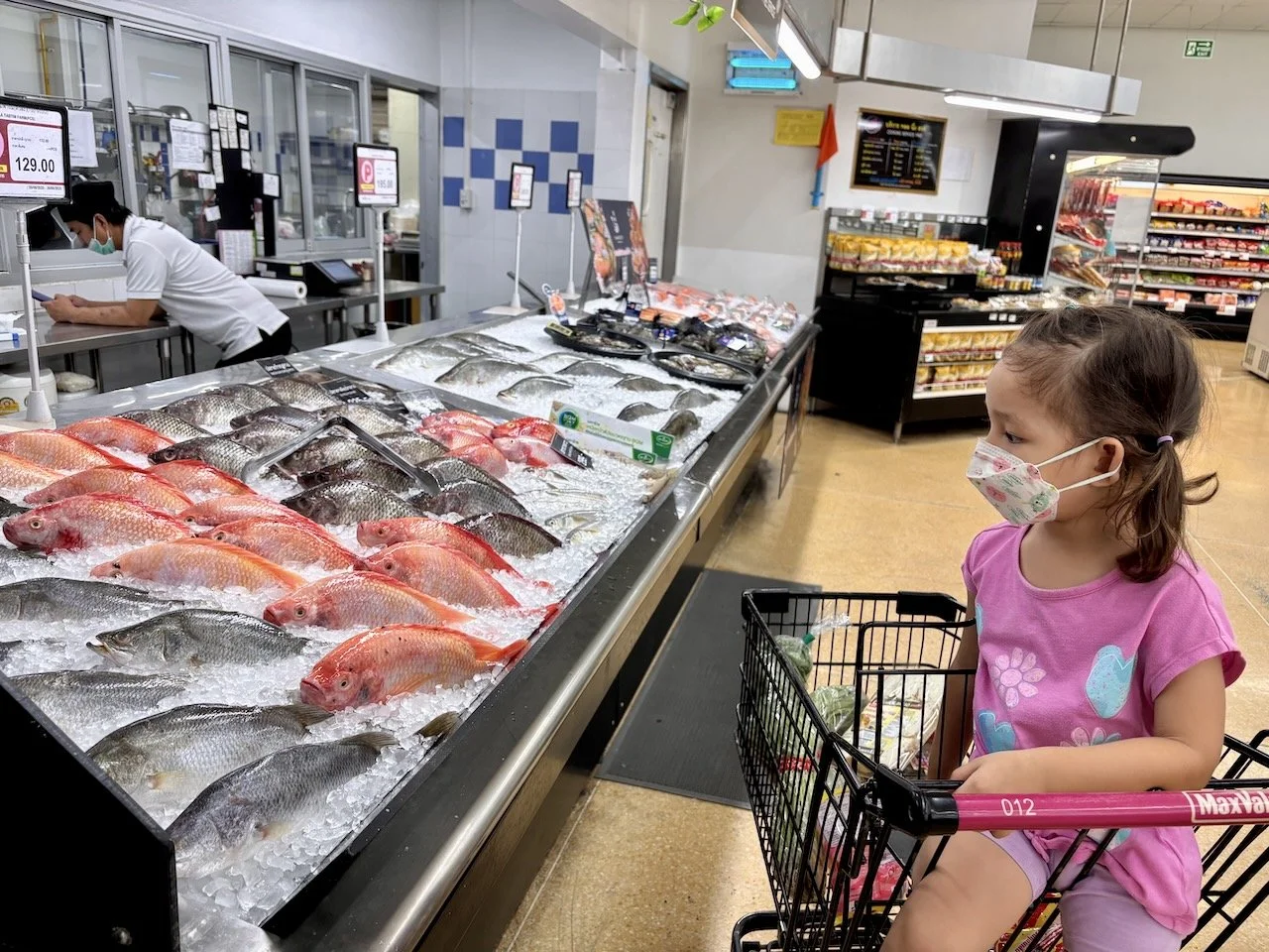 Very interested in the frozen (dead) fish.