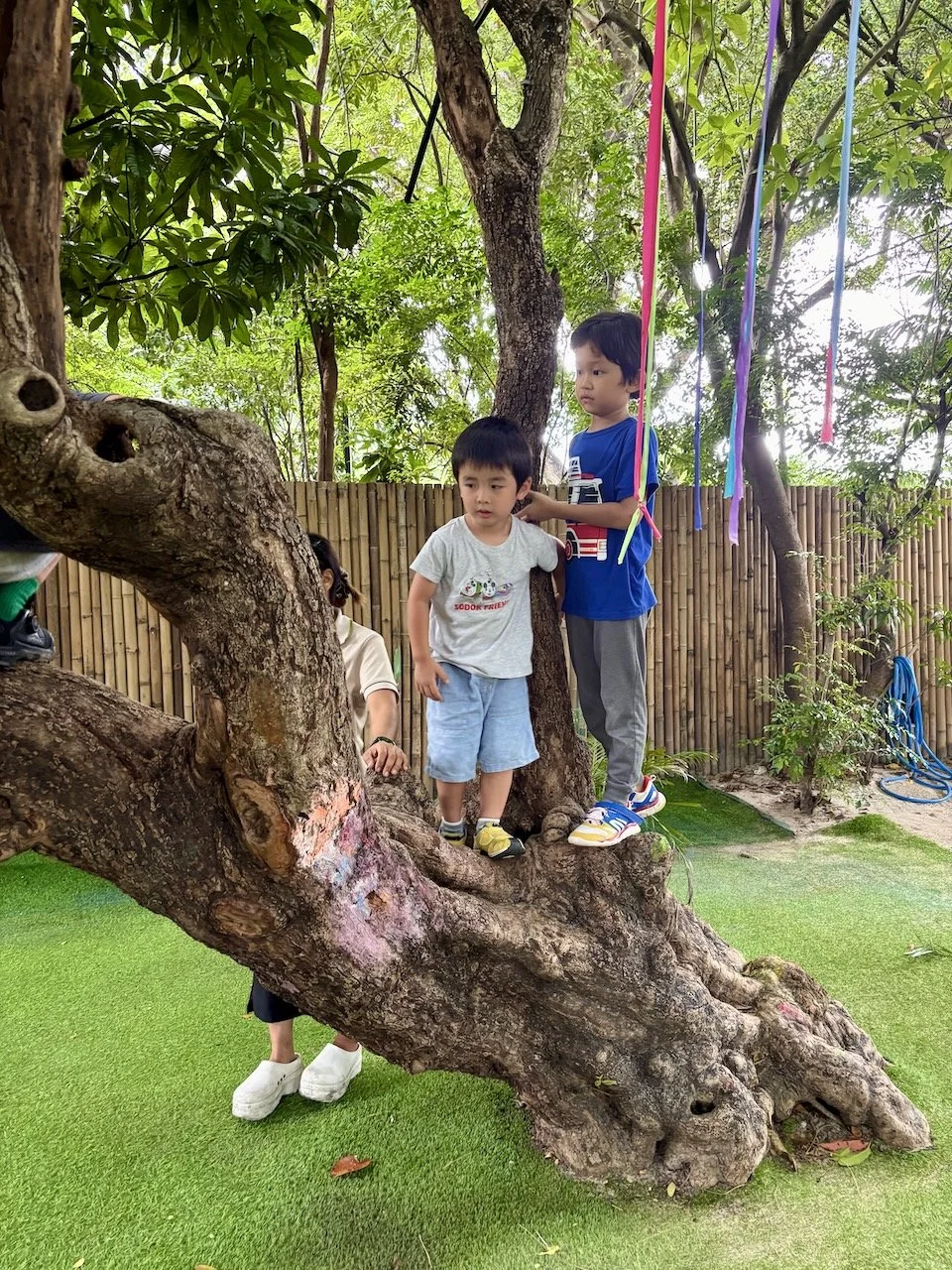 Somehow, the tree looks smaller. Or have these kids just gotten bigger?