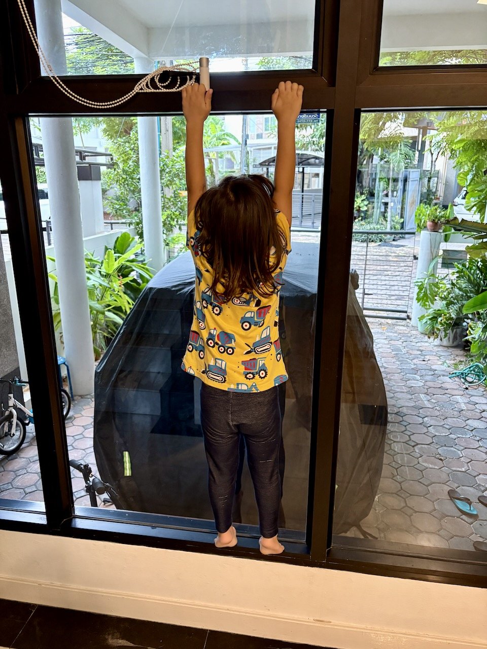 This one needs to enroll in climbing classes!
