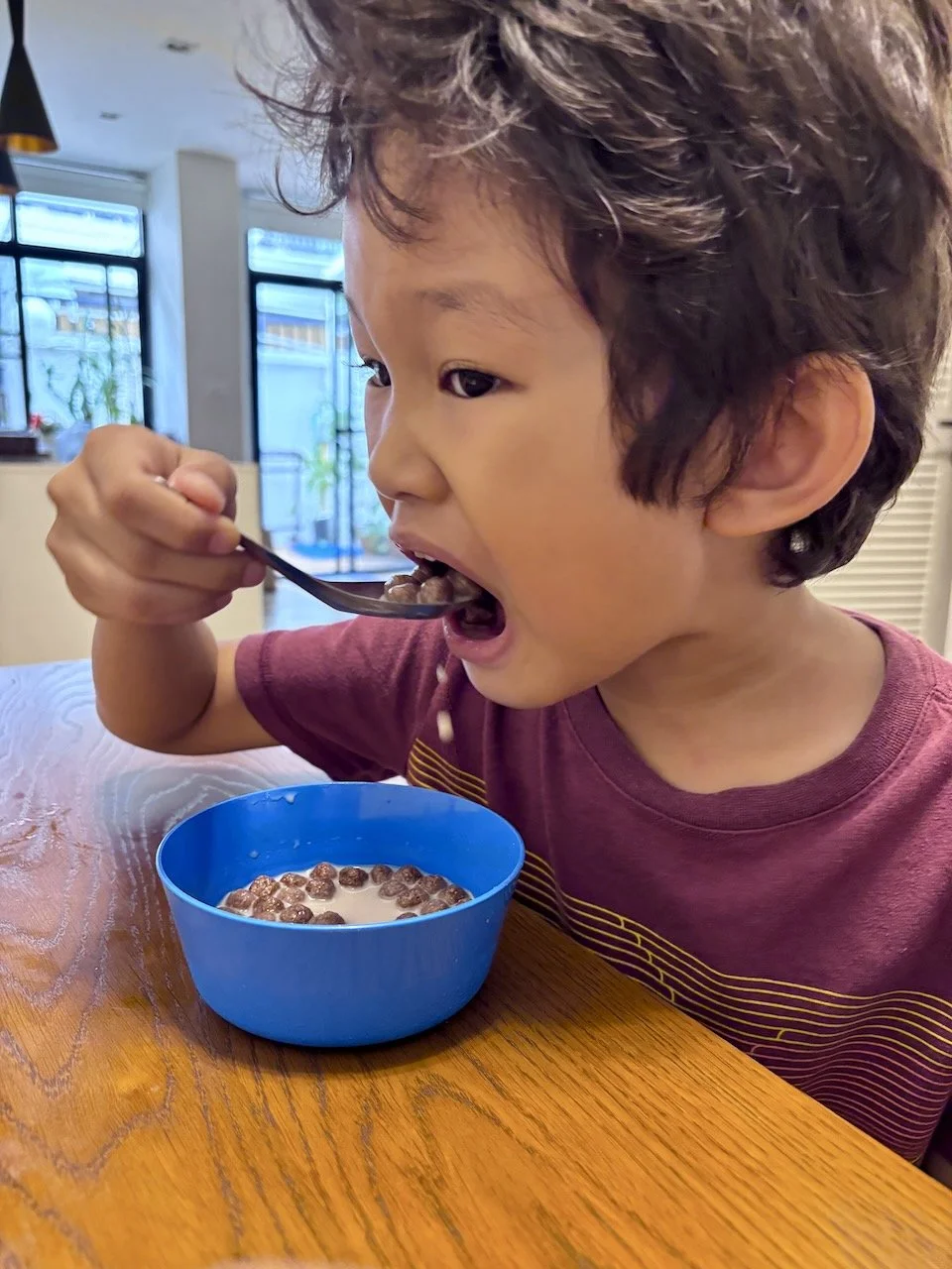 Attacking his breakfast milo balls.