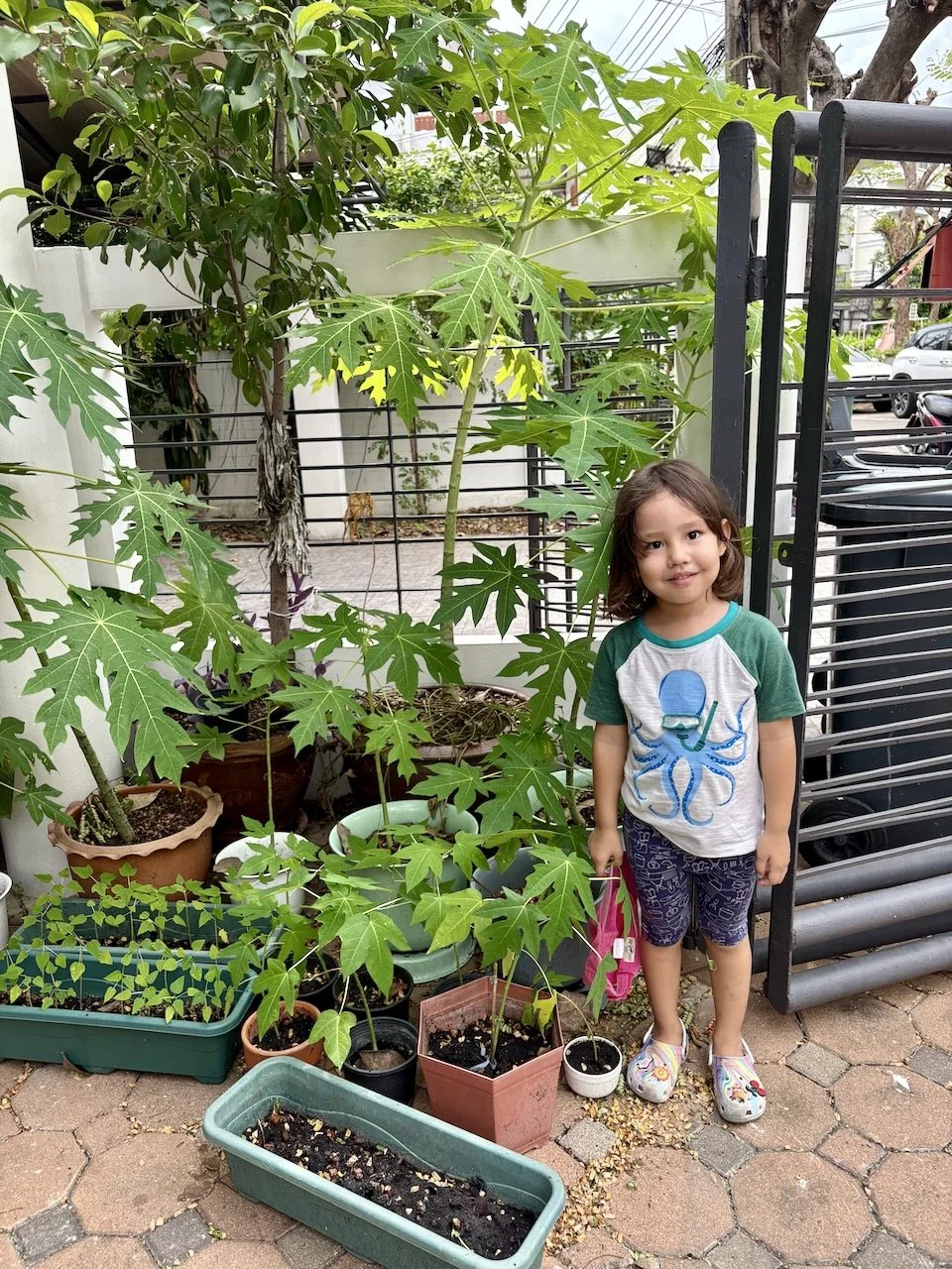 Posing with what's left of our papaya farm.