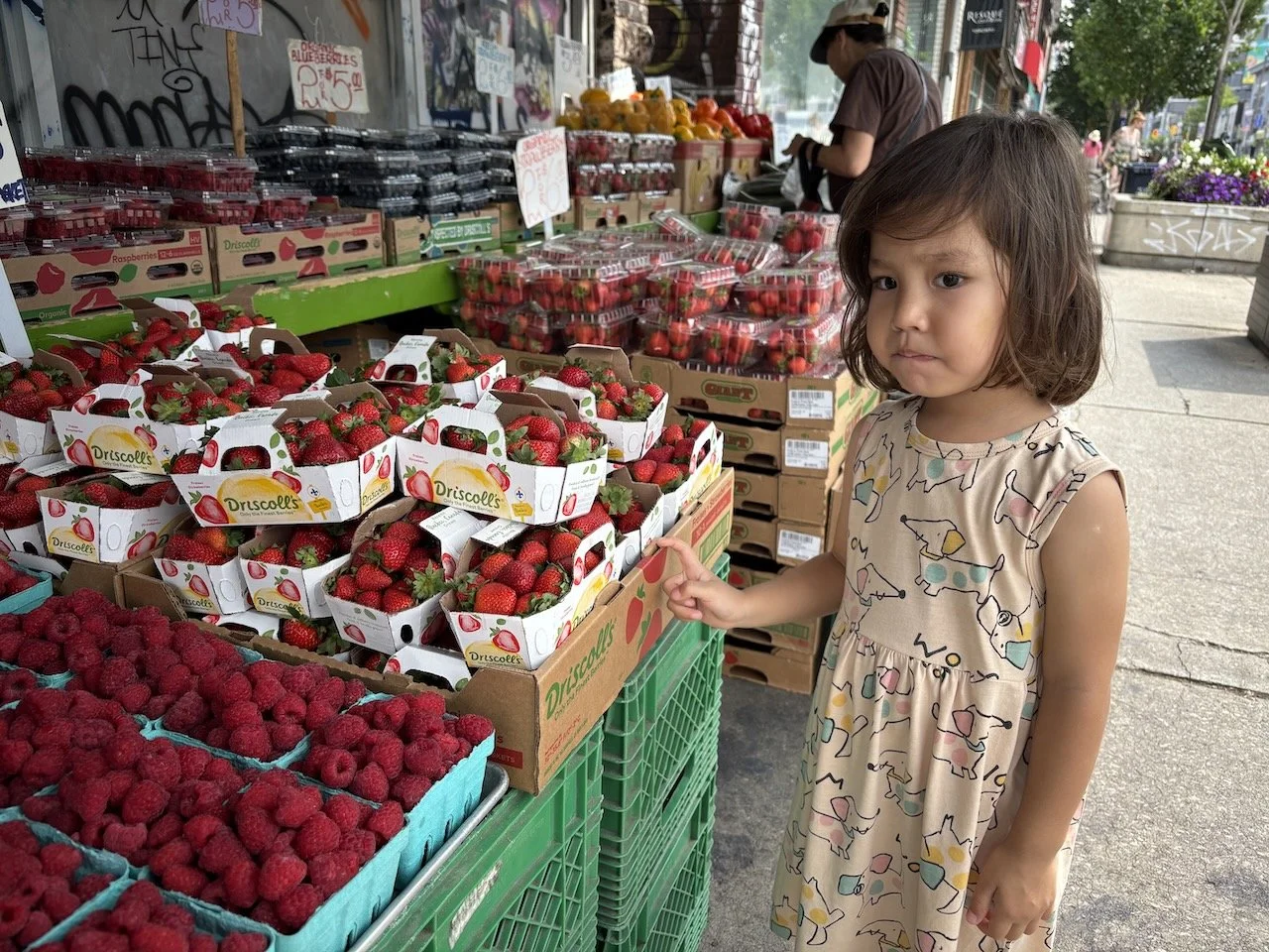 Helping Granny shop for berries.