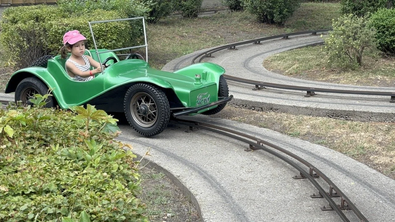 And the Ford antique cars. (Neither wanted to share a car, despite two steering wheels in each vehicle.)