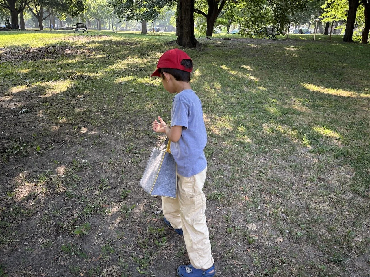 Starting our pinecone search.
