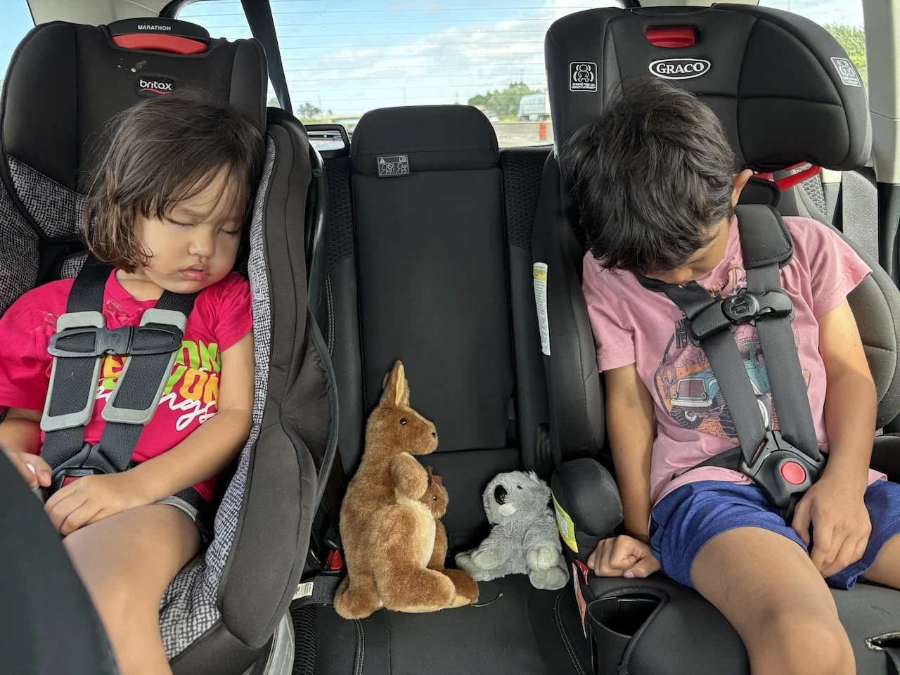 Catching up on sleep on the ride home.