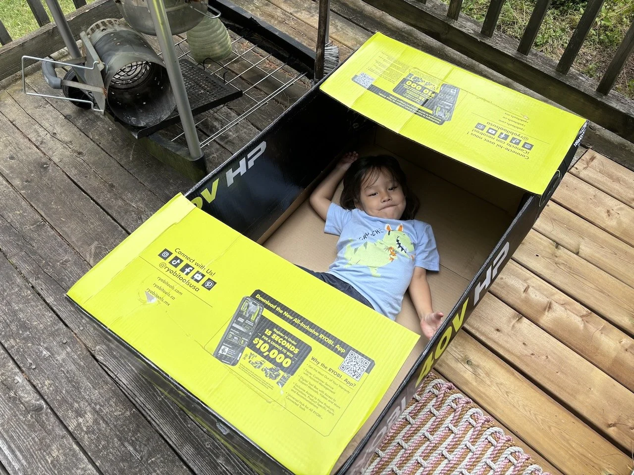 Granny & Grandpa thoughtfully saved the box that their new lawnmower came in.