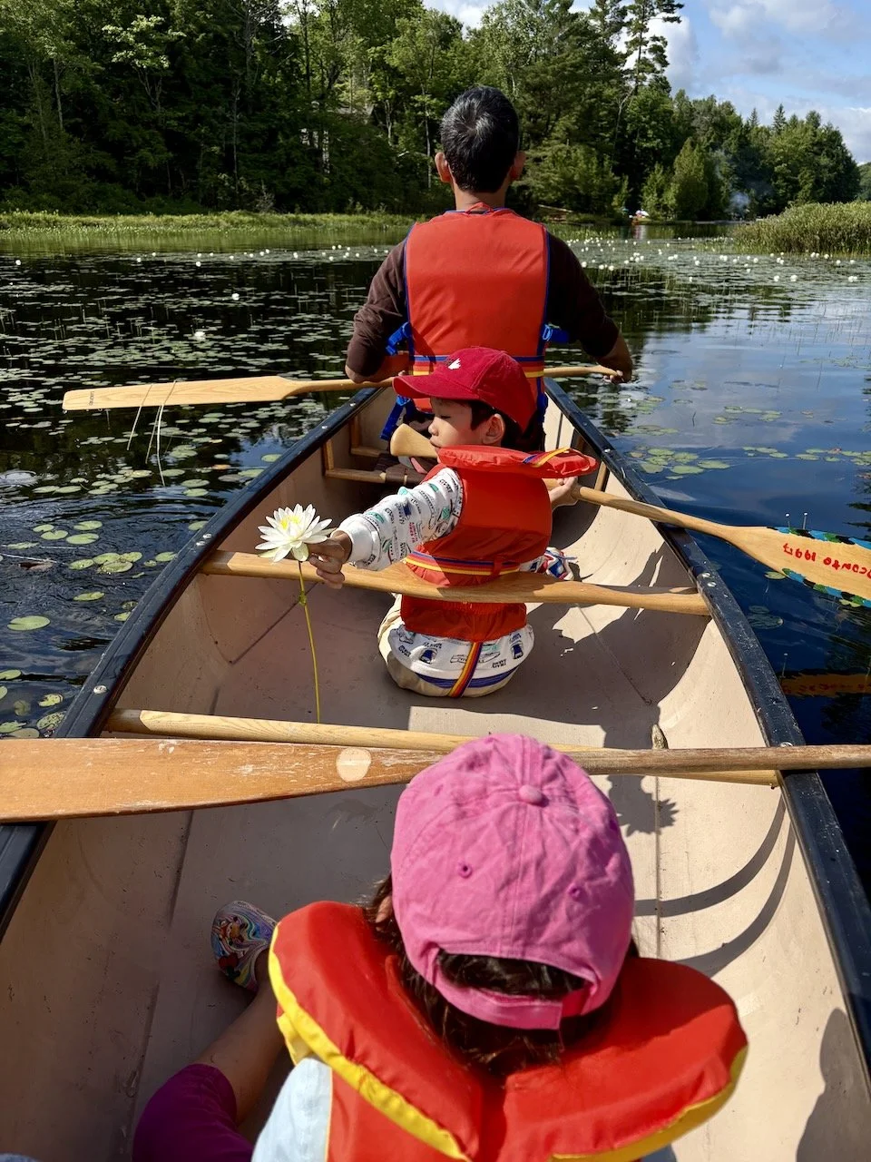 Through the lily pads.