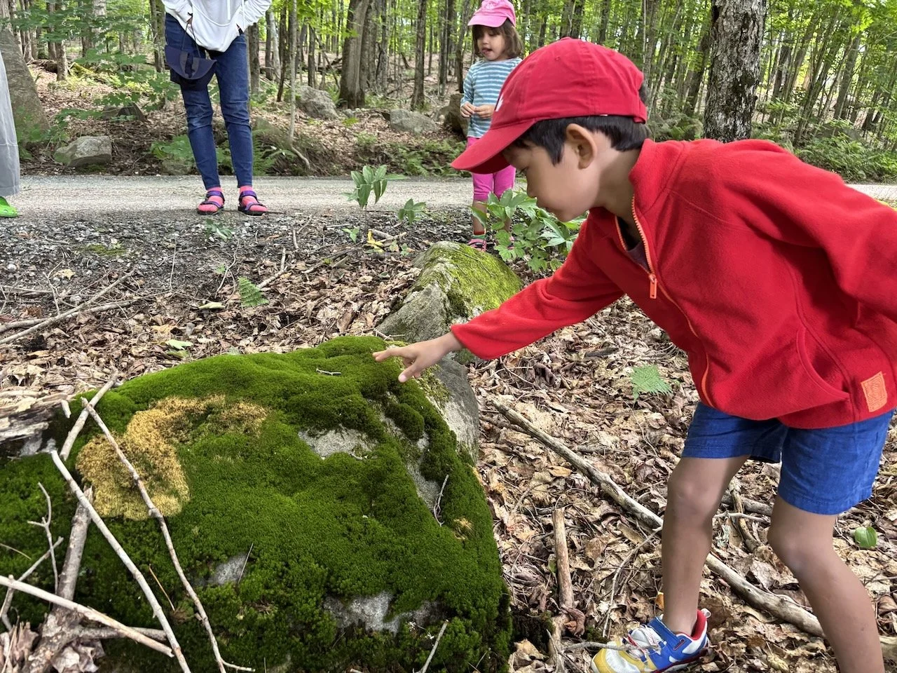 What a wonderful mossy rock!