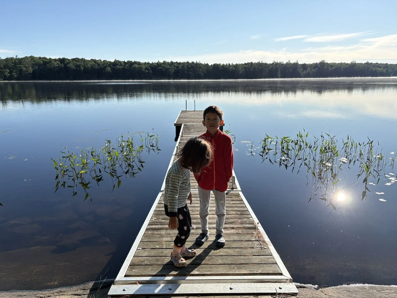 Another calm water morning at the cottage: with mist on the water and everything.