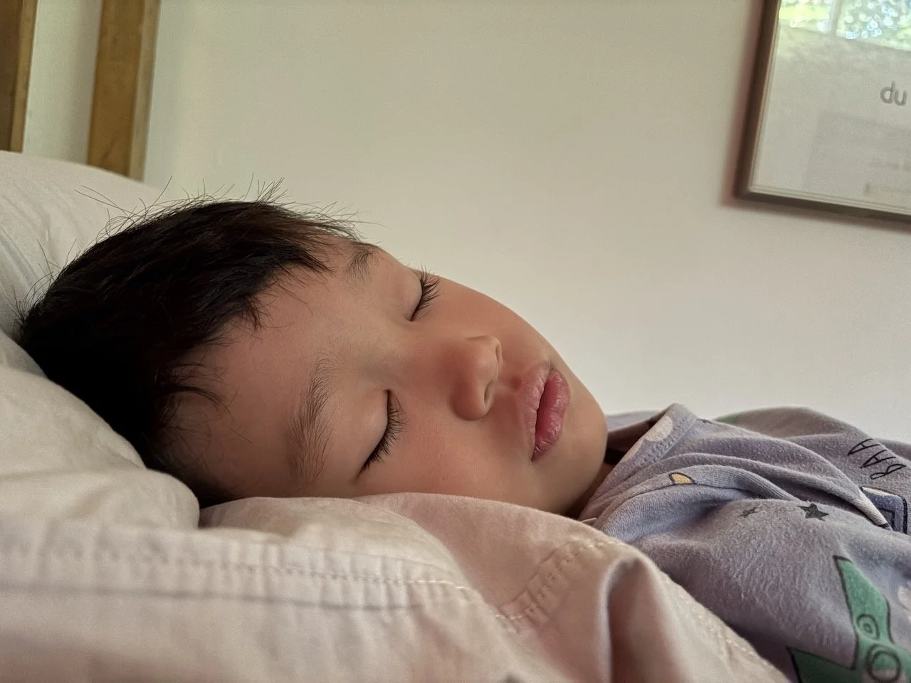 Fast asleep in the morning cottage sun.