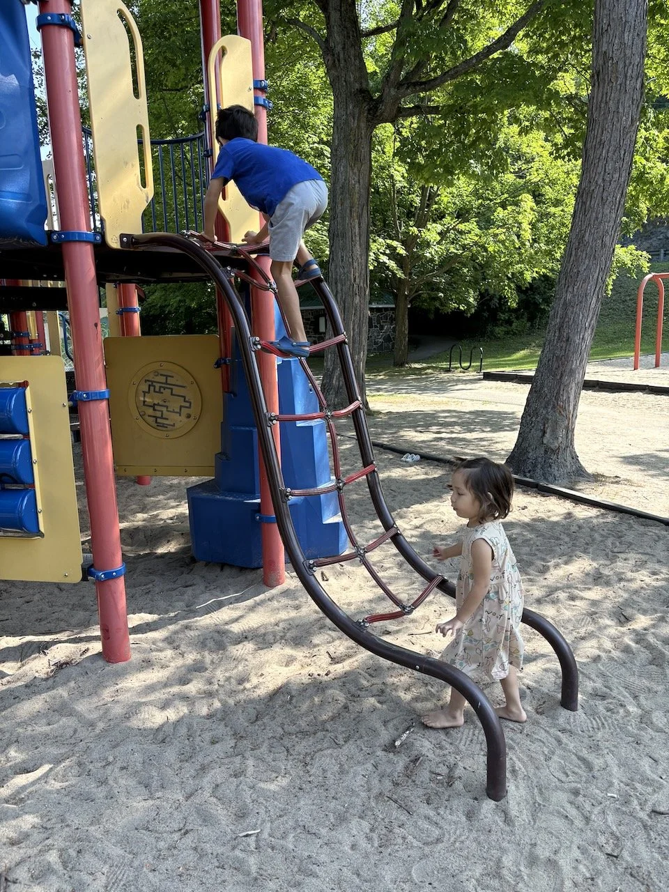 They climbed on all the things.