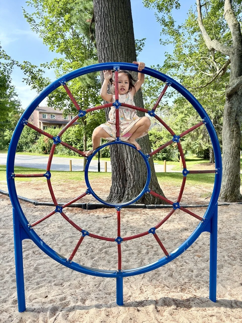 Look at our little climber go!