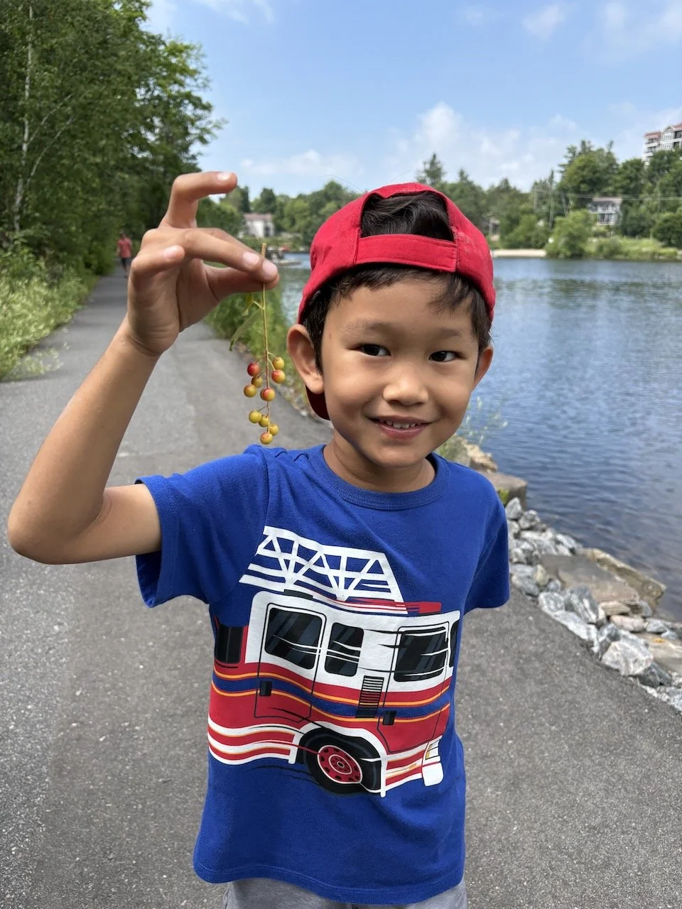 Look, berries!