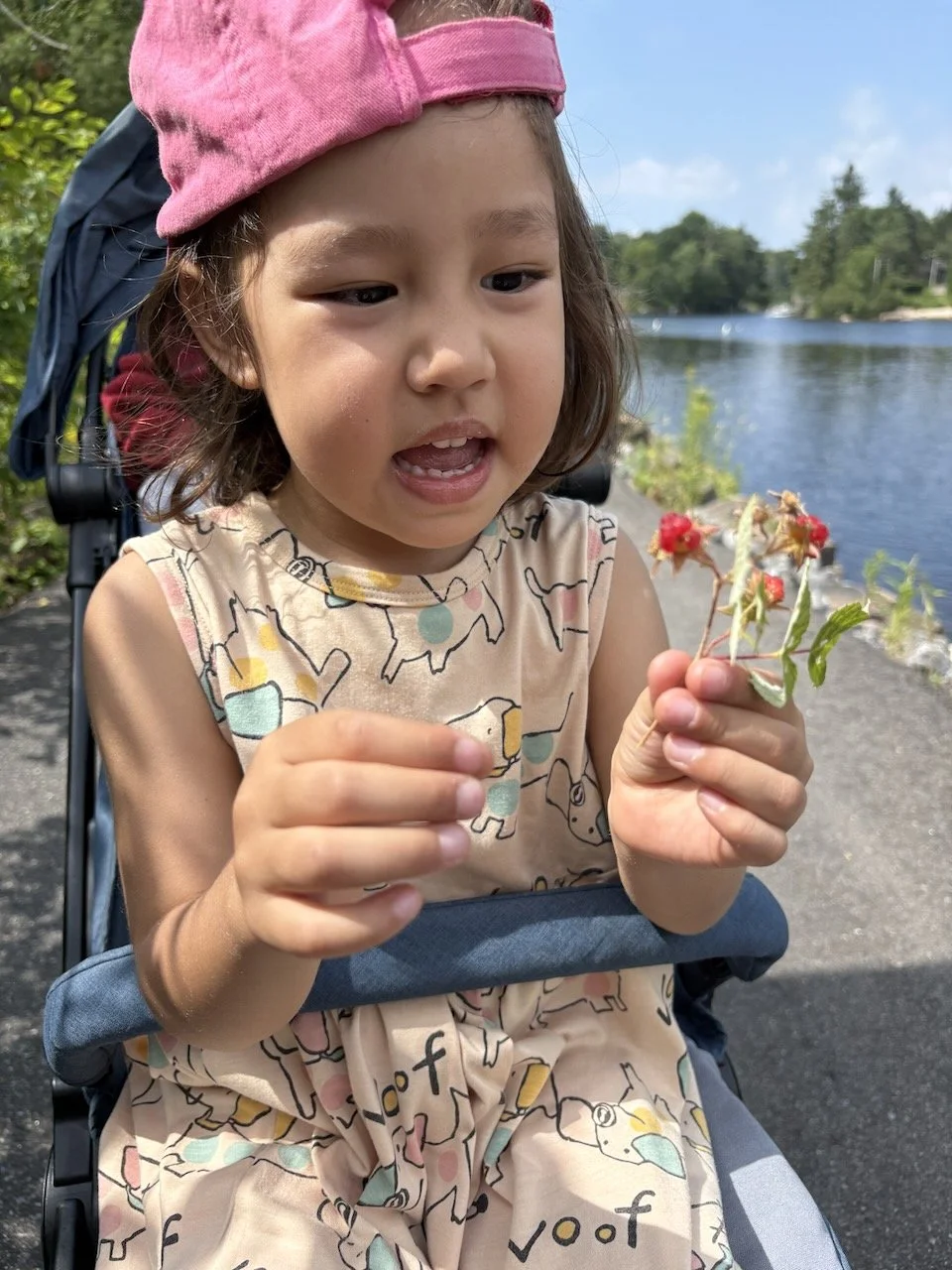 The tiniest wild raspberries.