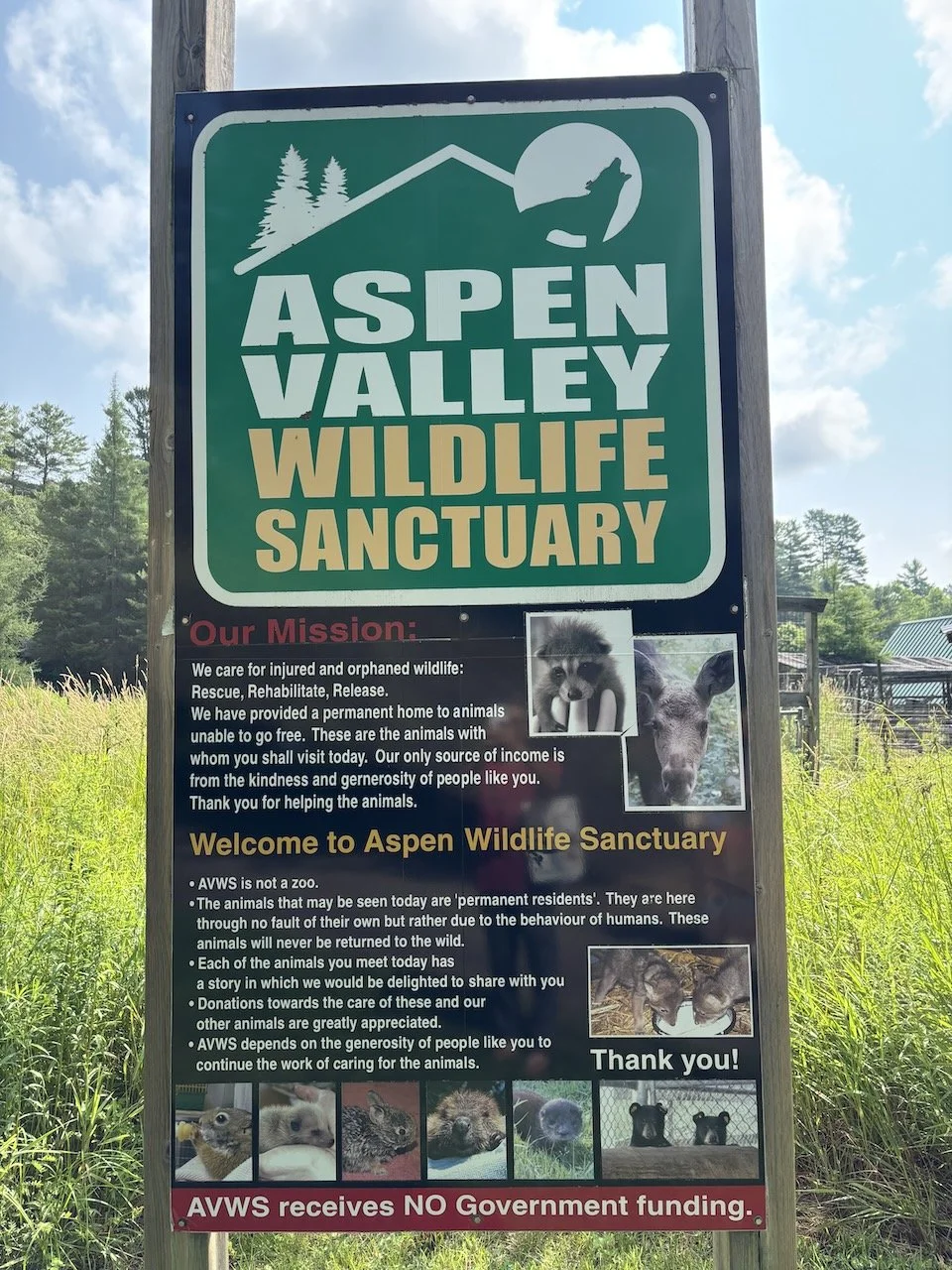 ... so off to Aspen Valley Wildlife Sanctuary we go.