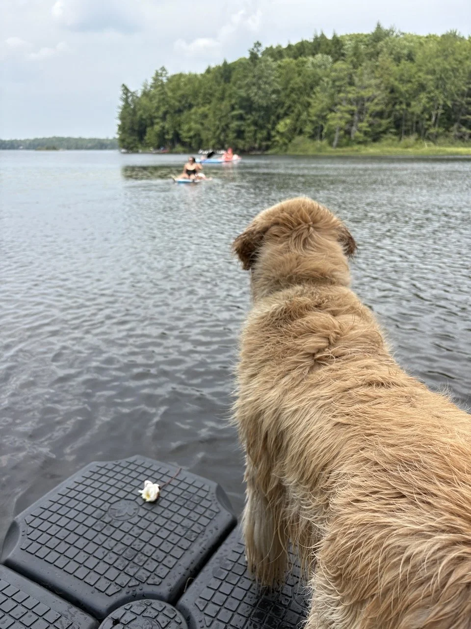 Back on the water after lunch, and Mackie on the watch. Is everyone okay?