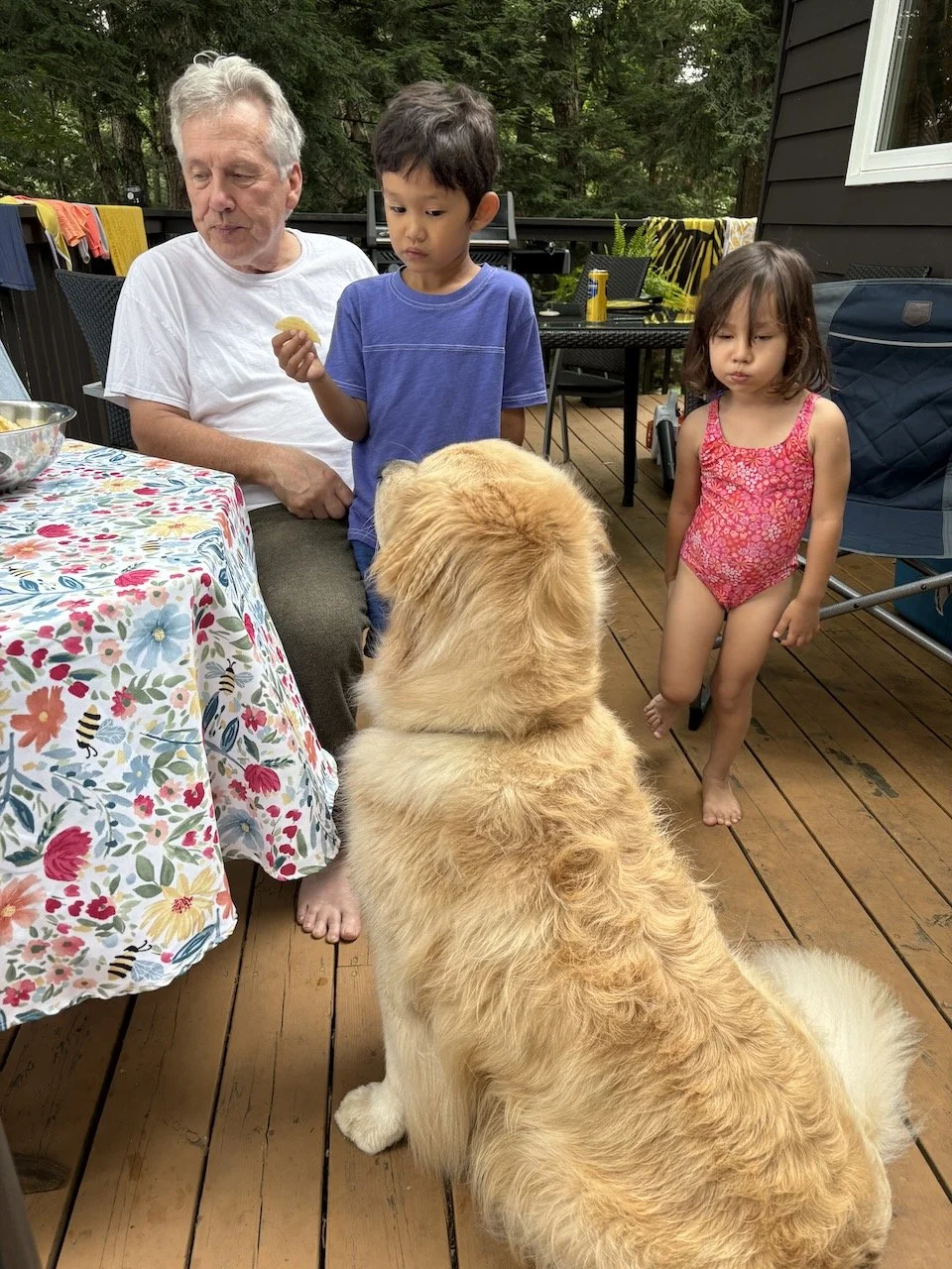 Mackie's got his eye on the prize: two large bowls of potato chips!