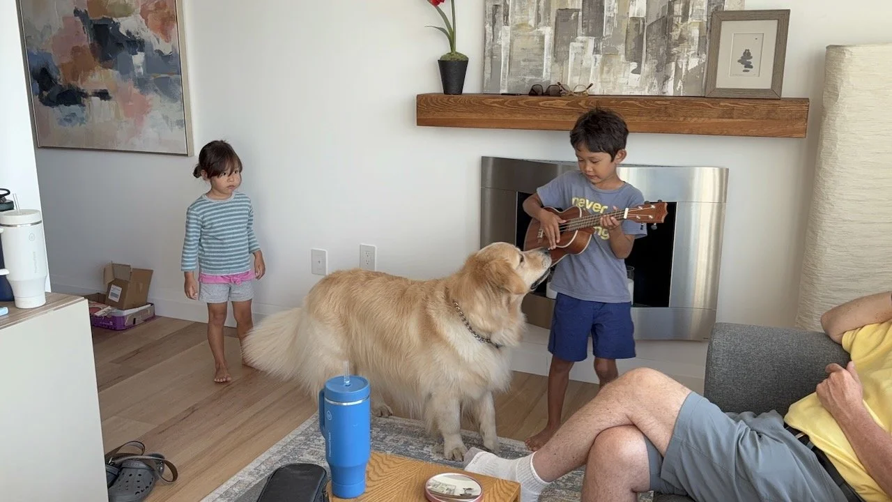 Quick, impromptu ukulele concert by Arlo.