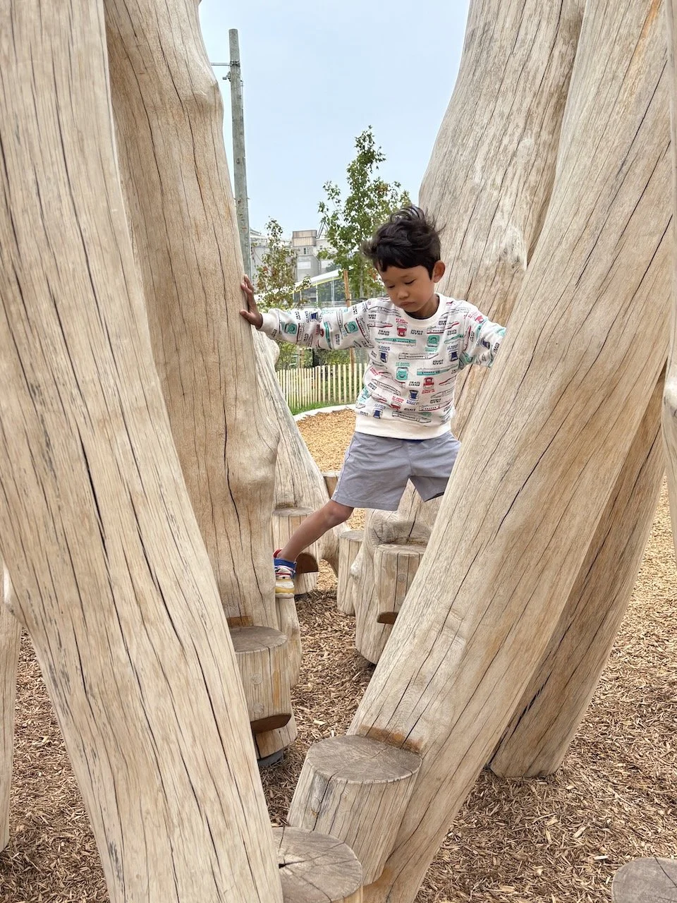 ... and these stepping logs...