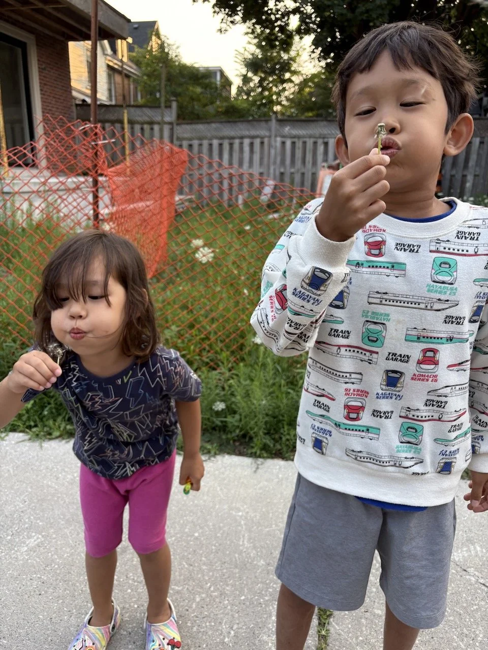 The last dandelions.