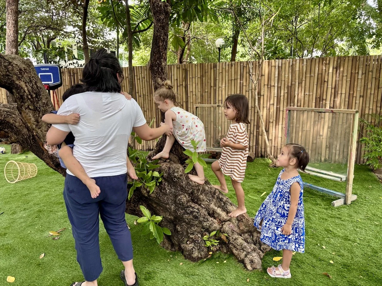 Queueing up to climb the tree after school.