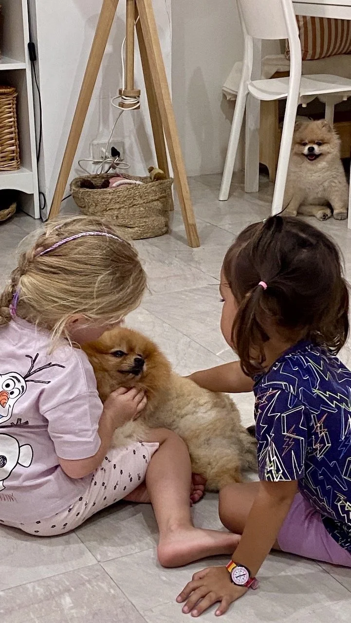 Impromptu playdate at Clementine's house.