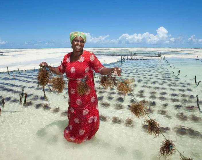 When I travel, I make a conscious decision about where my money goes.

On my recent trip to Zanzibar, I chose to invest in women.

In Stonetown, I met Veronica, who made me the most beautiful custom batik robe in four hours. She welcomed me into her 