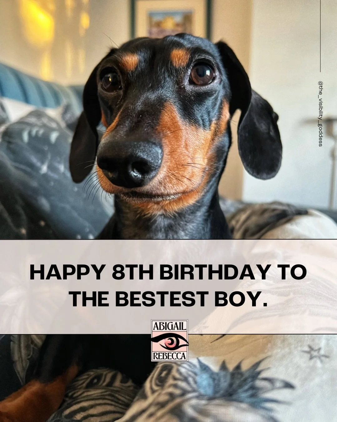Happy Birthday to a very important member of the team! 🐾

#Dachshund #dogsarethebest